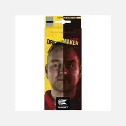 Dimitri van den Bergh Messing Dartpile 22 gram
