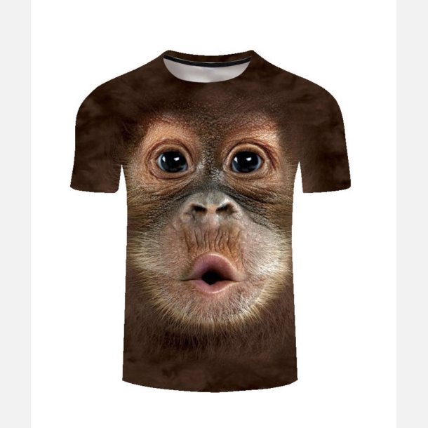 T-Shirt, Abe.
