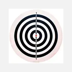 Bull's Bristol Papir Dartskive (inkl. 2 s�t dartpile)