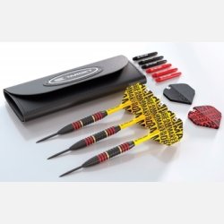 Dimitri van den Bergh Messing Dartpile 22 gram