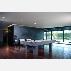 Paris Pool bord (Tr�)