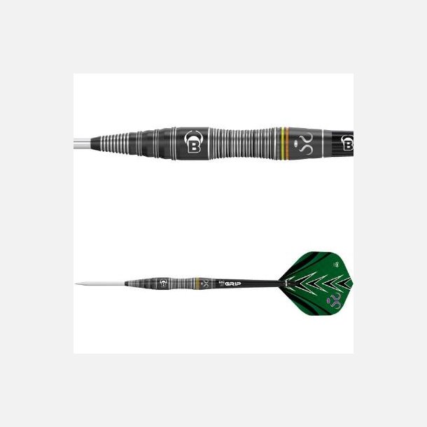 Brian Raman Dartpile 90% 22 gram