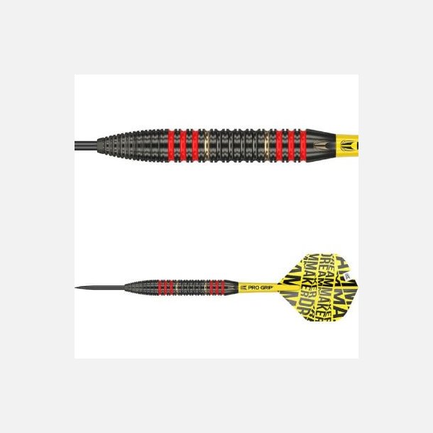 Dimitri van den Bergh Messing Dartpile 22 gram