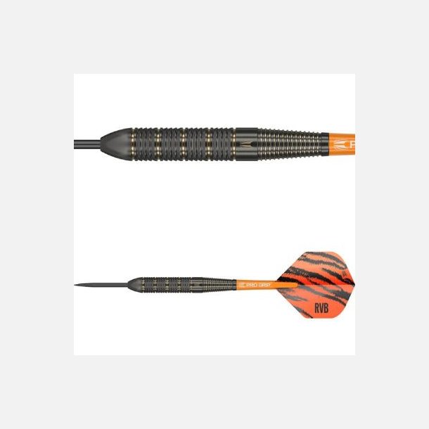 Raymond van Barneveld Messing Dartpile 22 gram