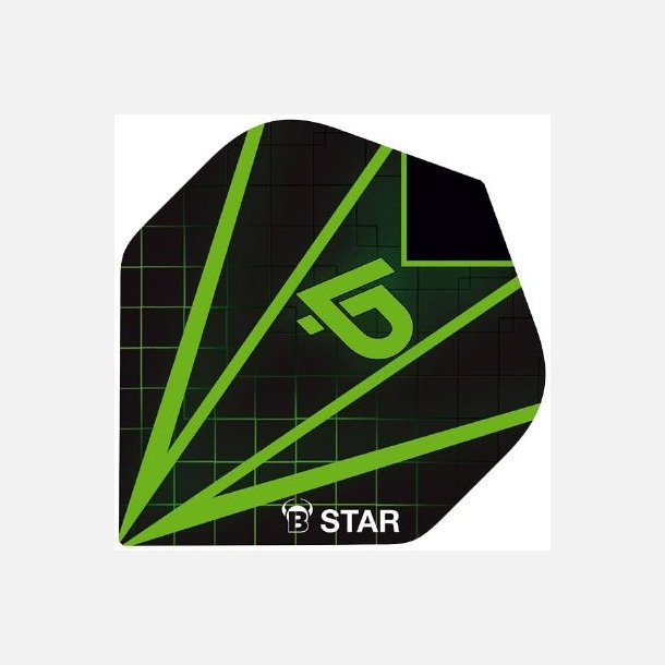 B-Star Flights - Luc Peters