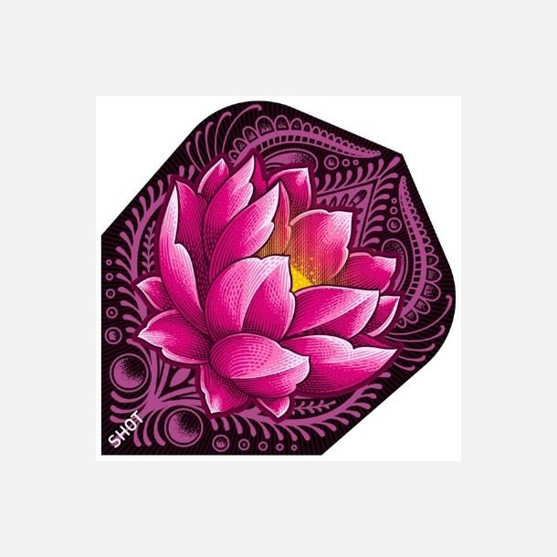 Zen Juji No. 6 Flights
